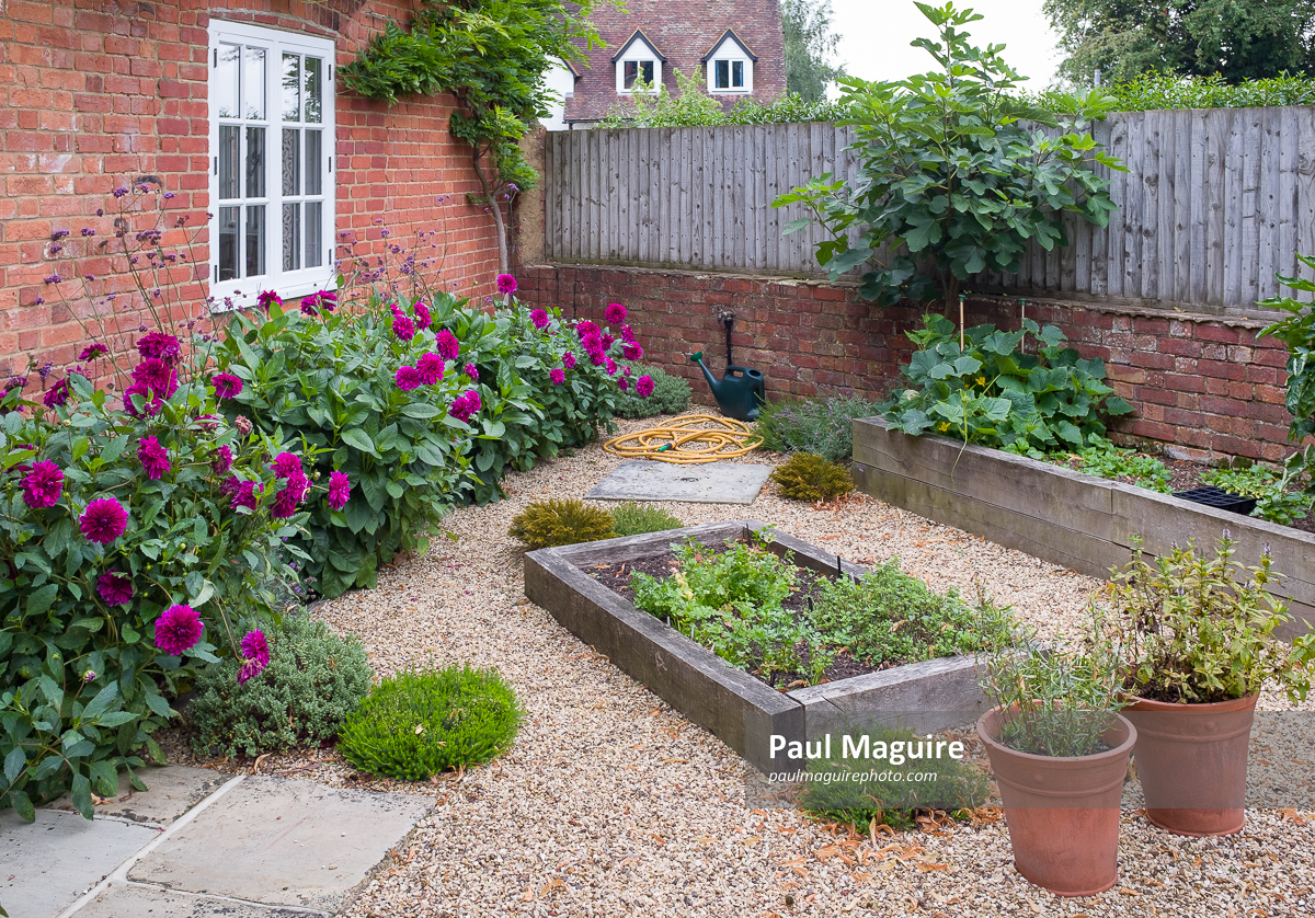 Stock photo Cottage garden with gravel and raised beds, UK Paul Maguire