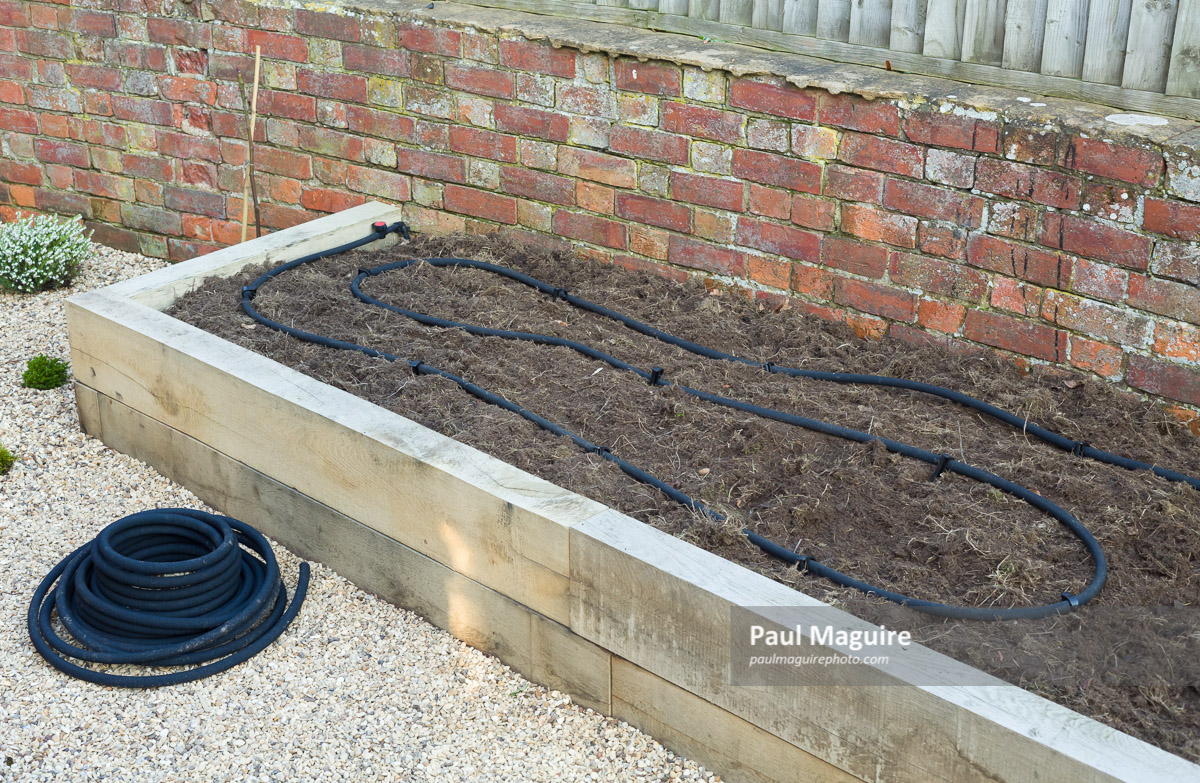 Stock photo Installing water irrigation in UK garden Paul Maguire