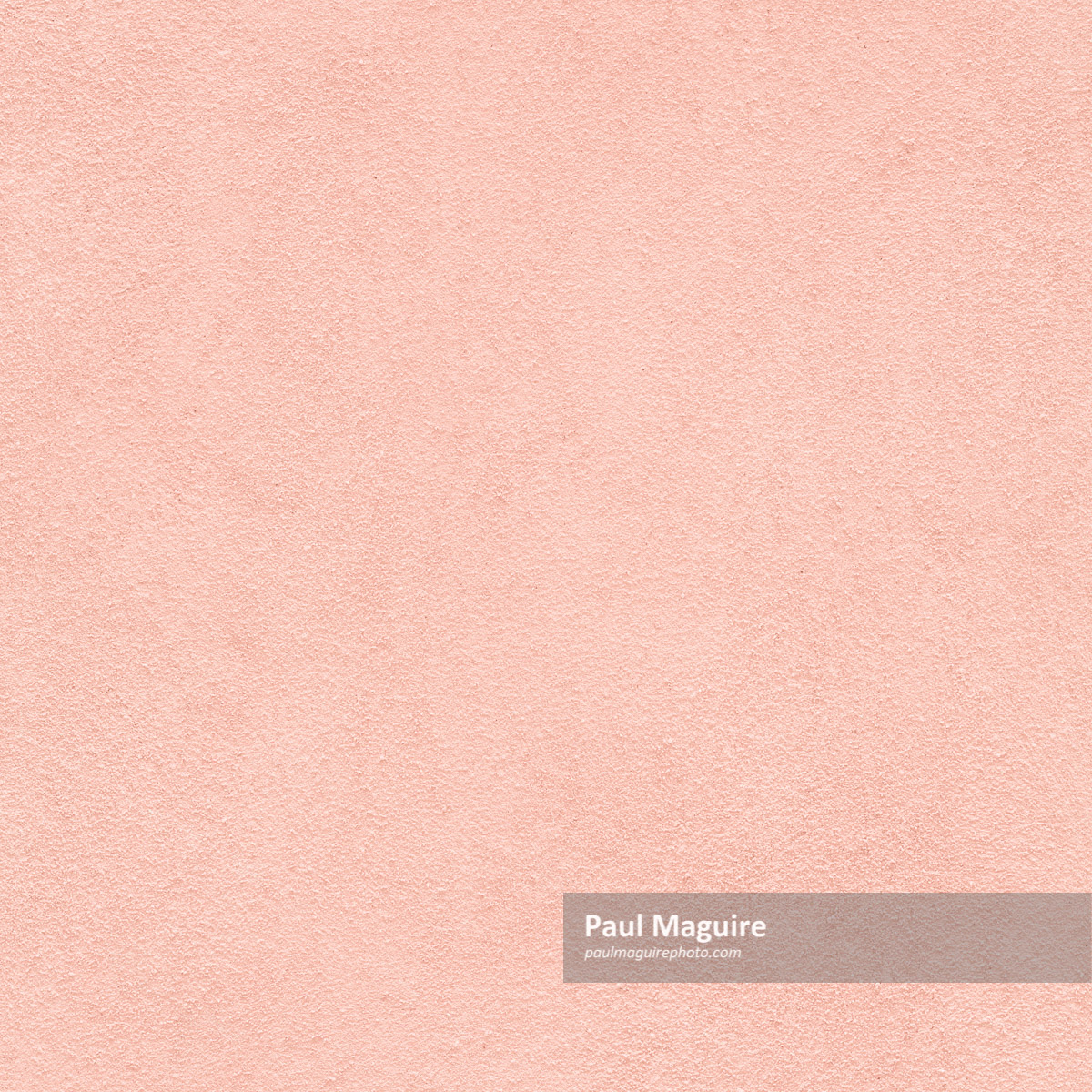 Buy a photo Light pink background texture Paul Maguire