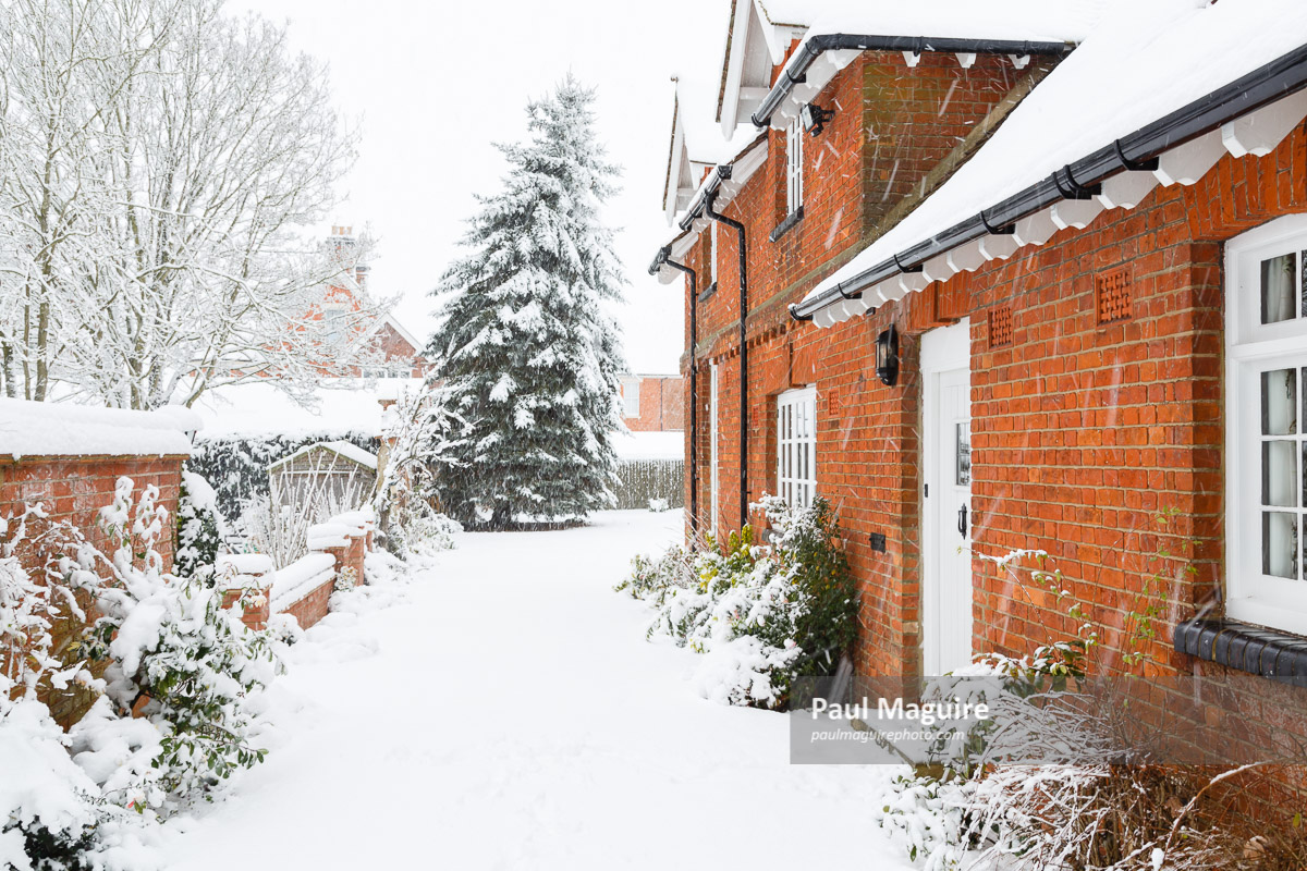 Stock photo Snow on driveway in winter Paul Maguire