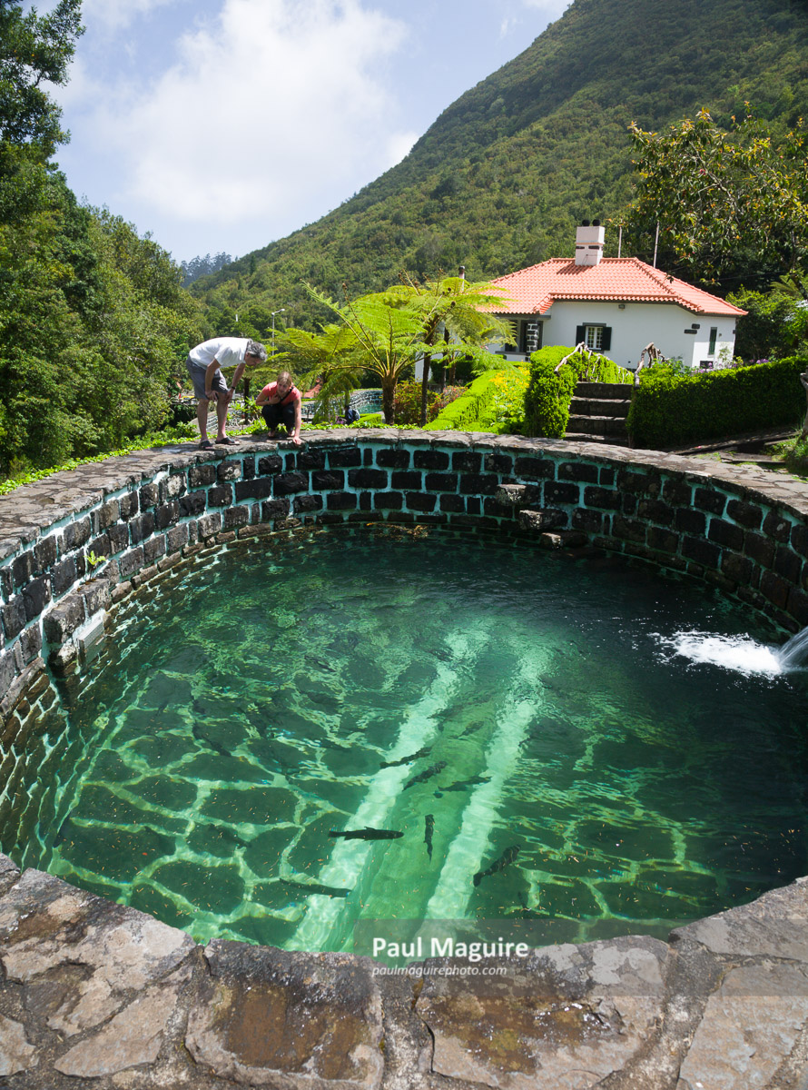 Photo for sale Trout farm in Madeira Paul Maguire