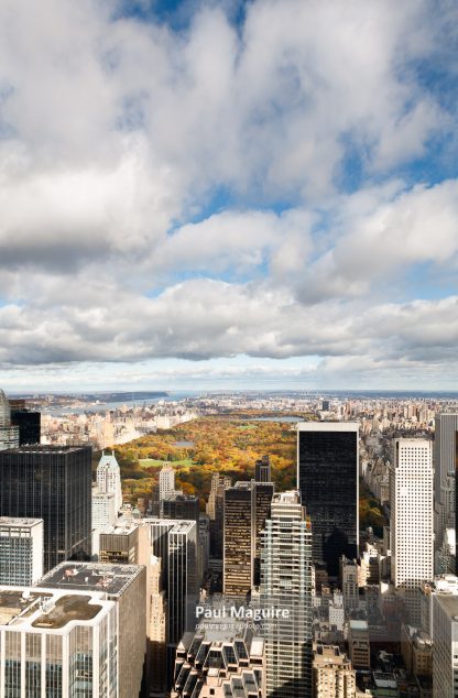New York skyscrapers and Central Park