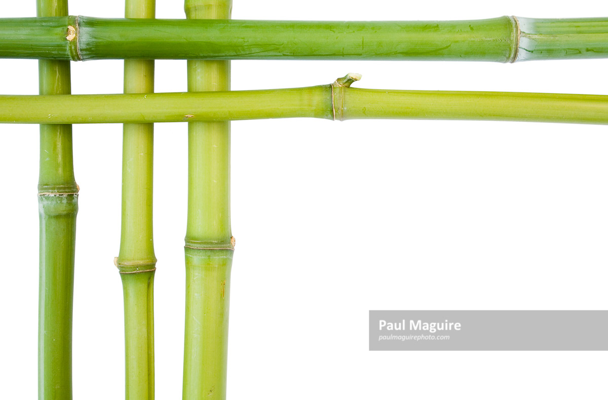 Bamboo borders