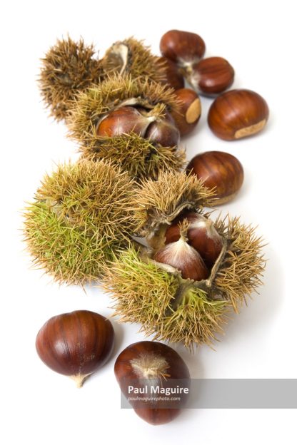Chestnuts