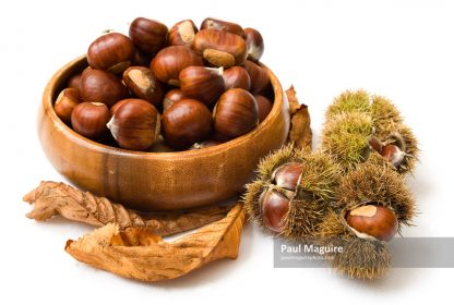Bowl of Chestnuts