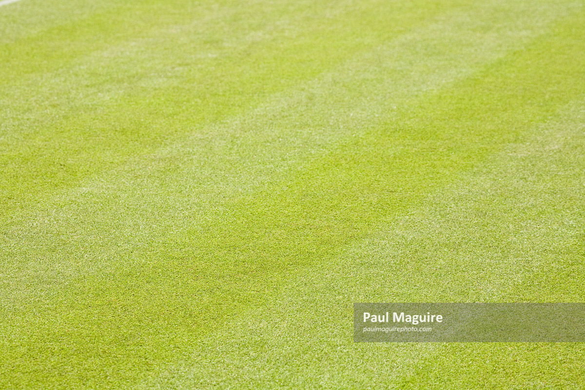 Buy a photo of Green grass background - Paul Maguire