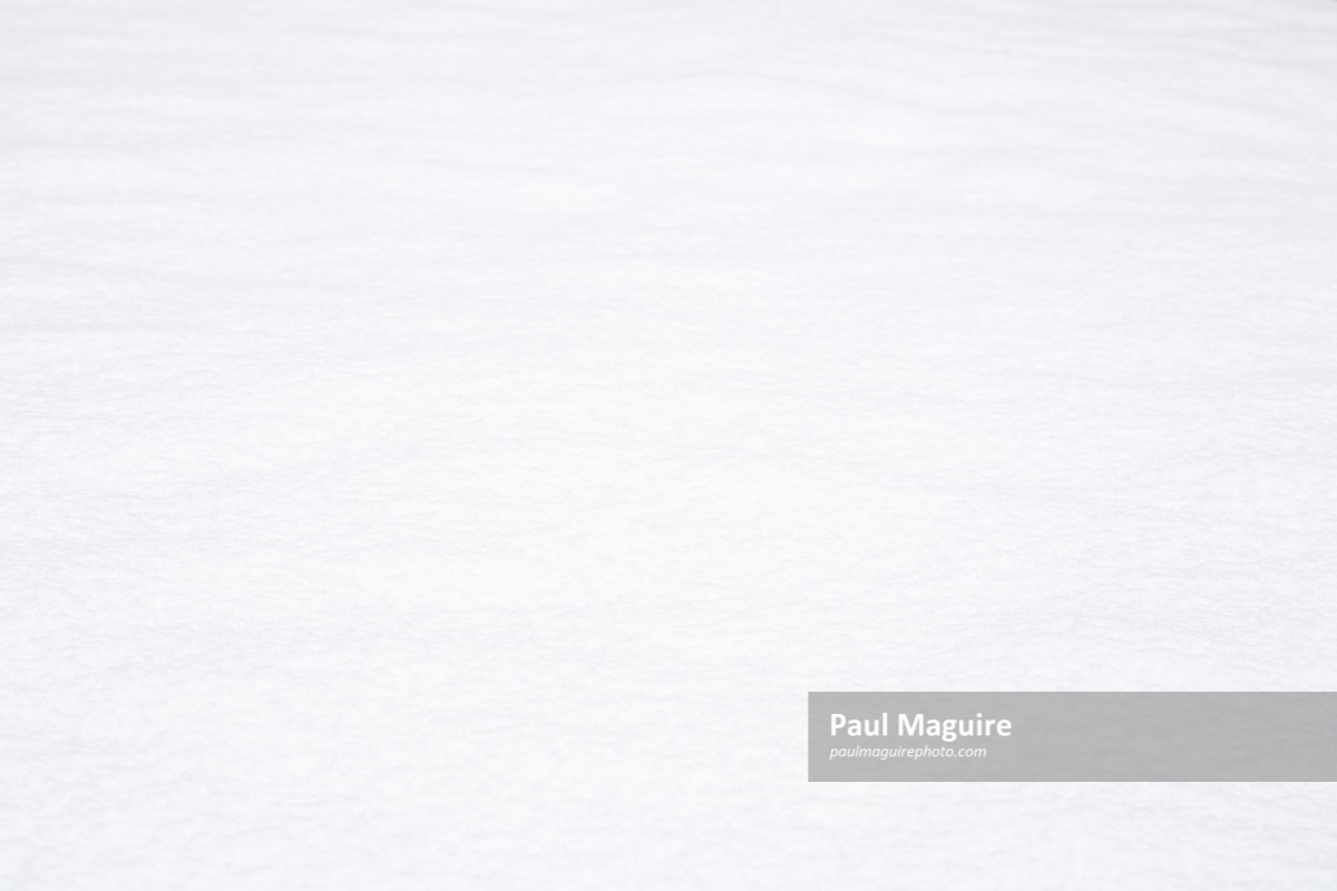 Stock photo - White snow background - Paul Maguire