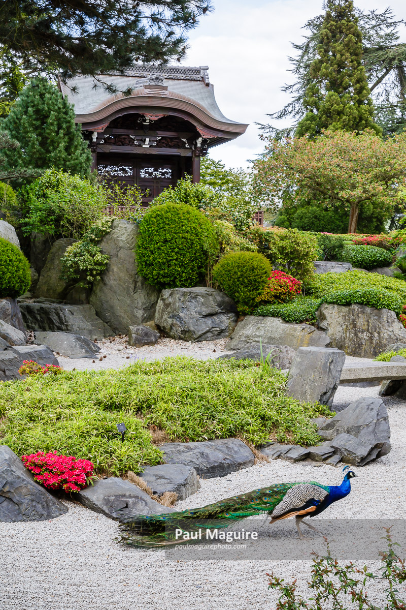 Japanese Gateway Kew Gardens