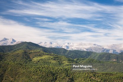 Forest and mountains, Pyrenees, Aragon, Spain