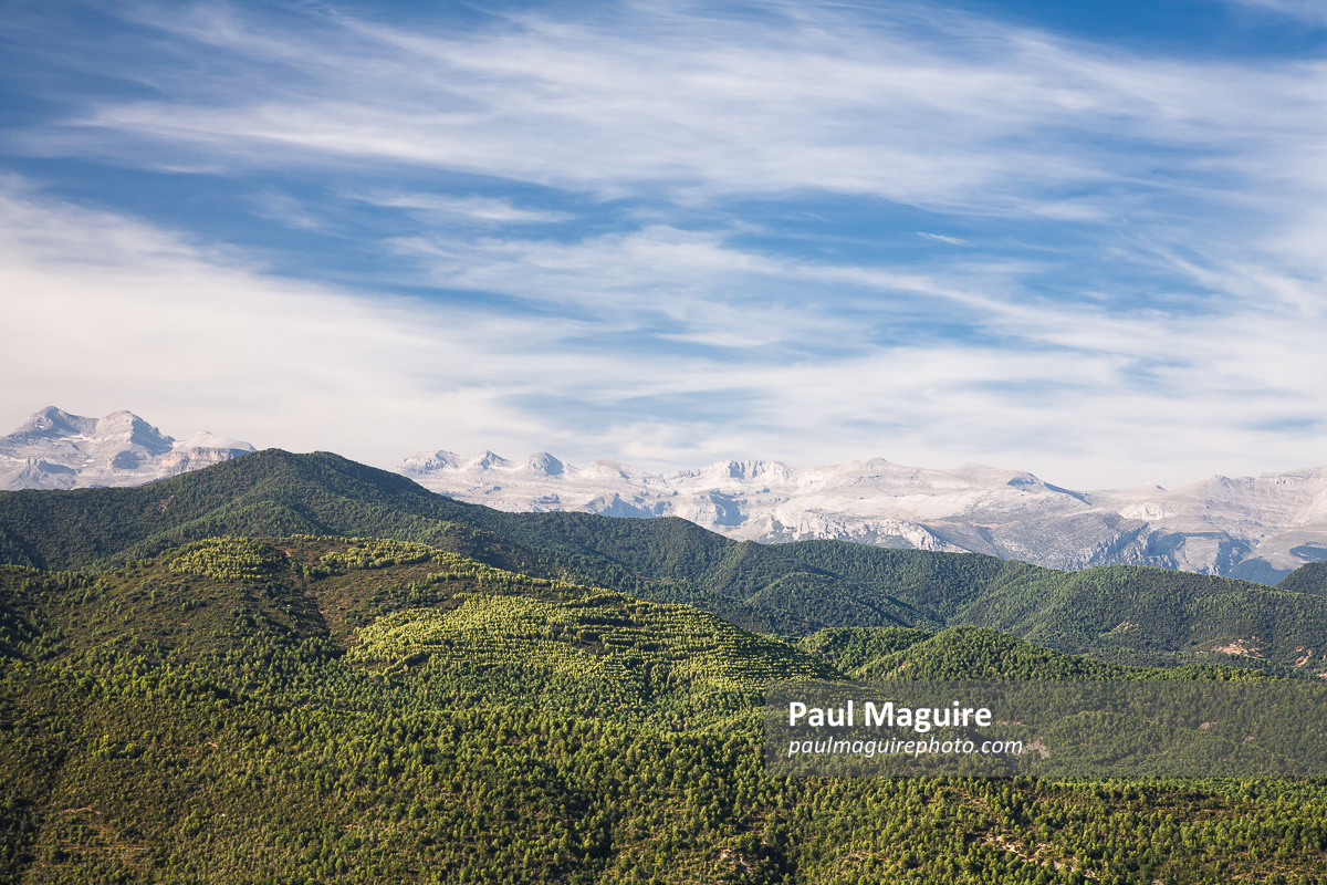 Forest and mountains, Pyrenees, Aragon, Spain