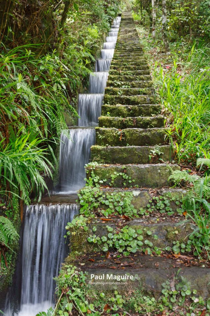 Levada in Madeira Levada in Madeira