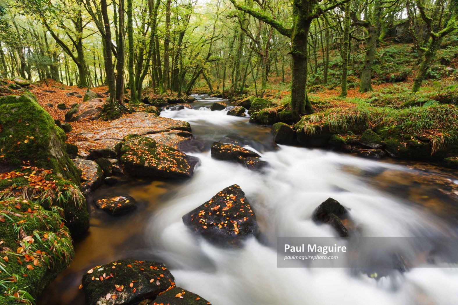 Golitha Falls