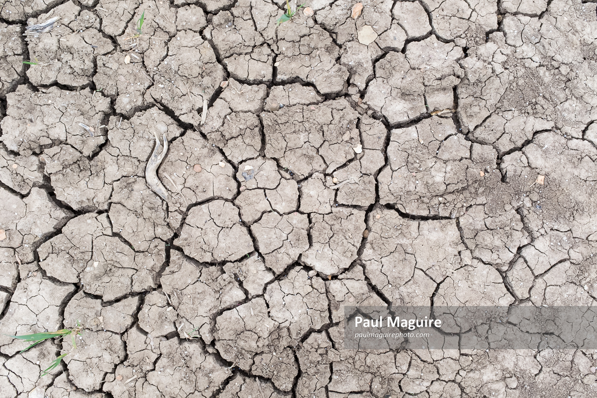 Stock photo - Global warming background, texture or pattern. Cracks in mud  - Paul Maguire