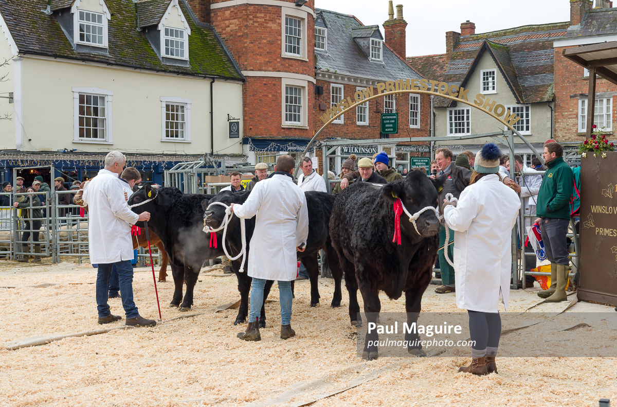 Winslow Primestock Show