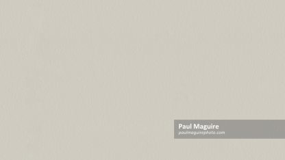 Off white painted wall texture, neutral seamless repeat pattern