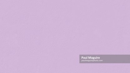 Purple painted wall texture, seamless repeating pattern
