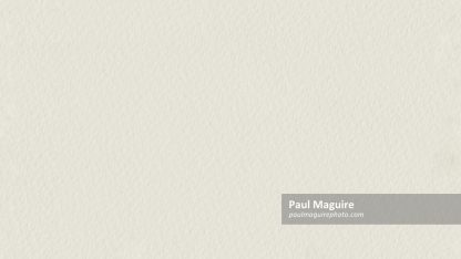 Paper texture, seamless tileable parchment paper background