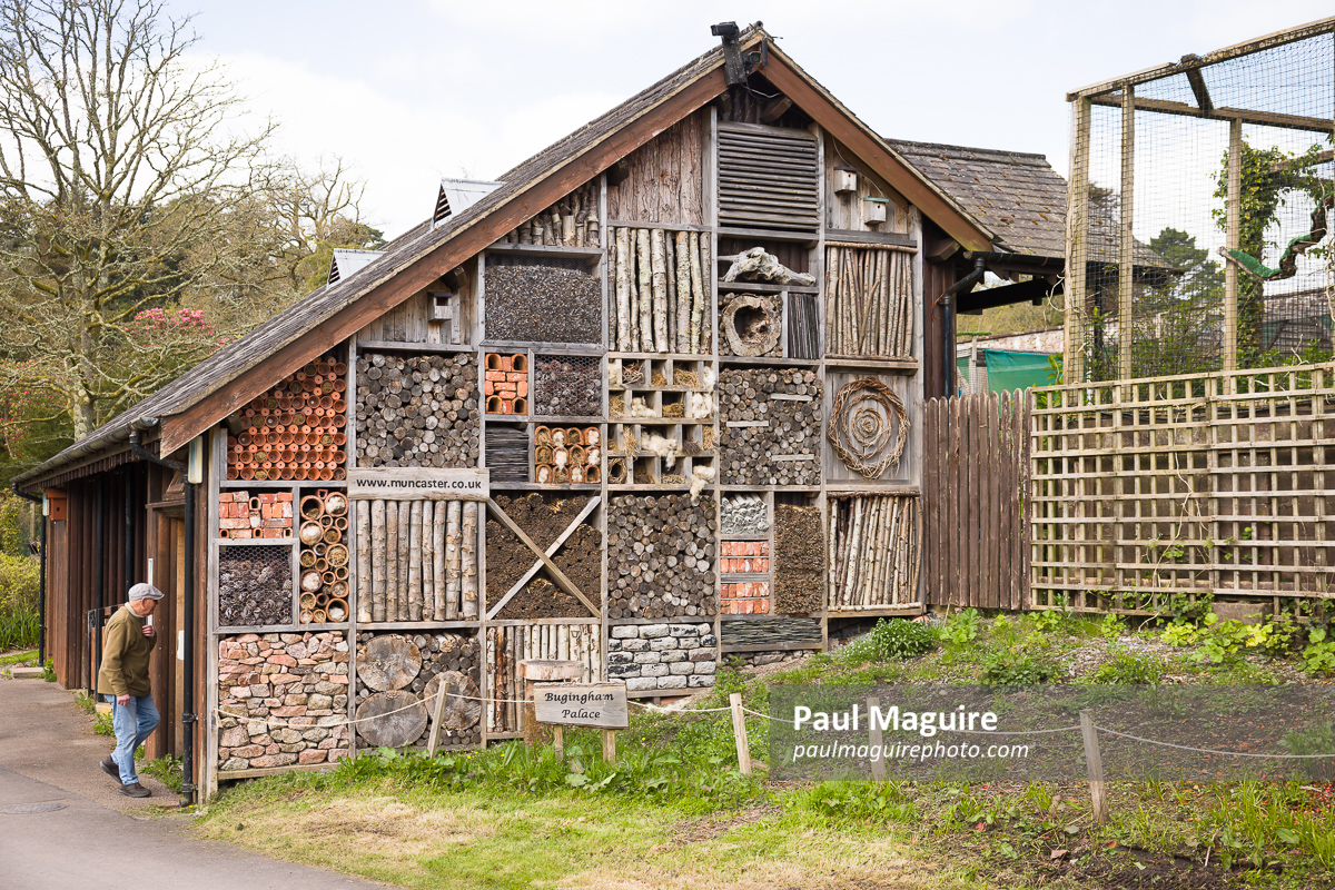 Bug hotel at Muncaster Castle, Lake District, UK