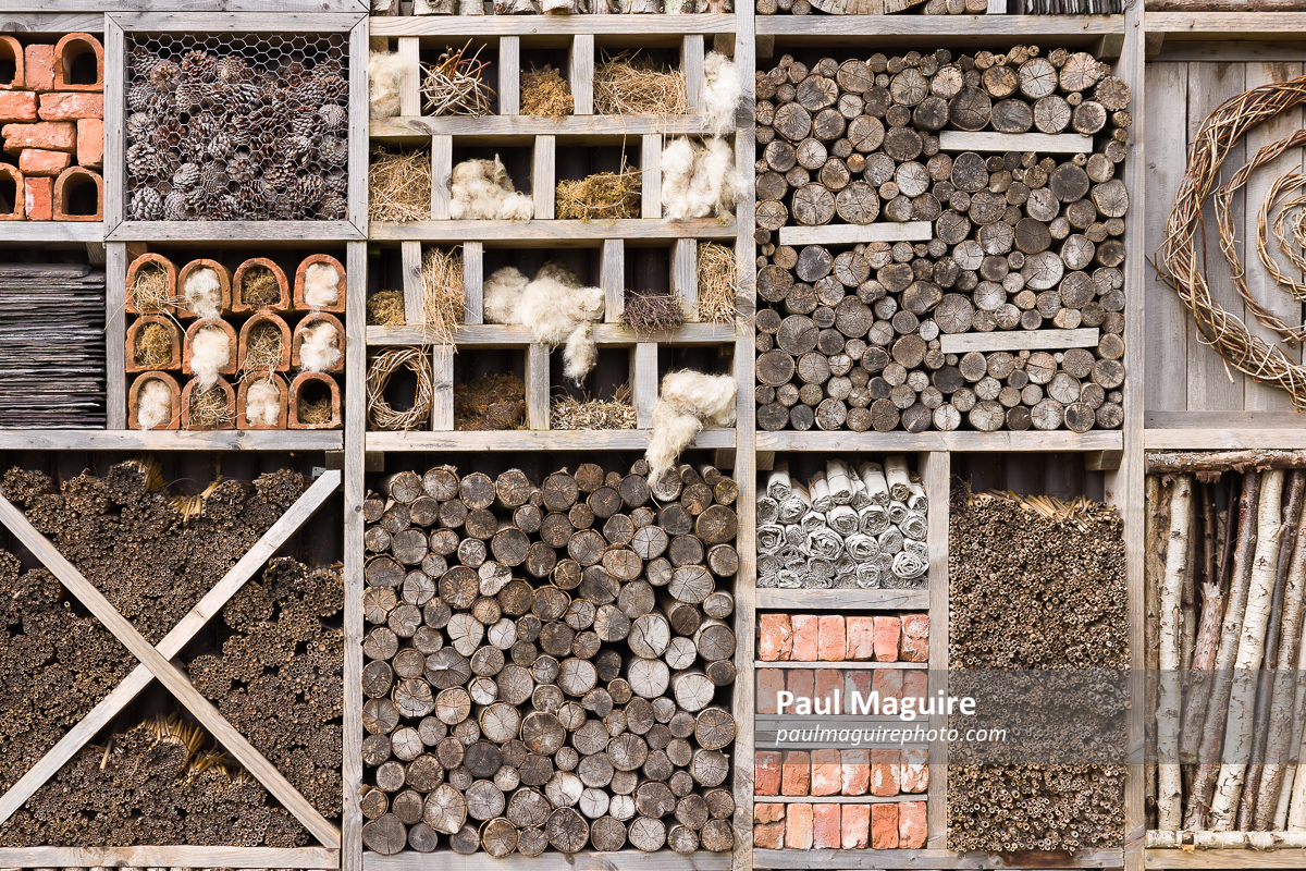 Detail of a bug hotel or insect house, UK wildlife conservation