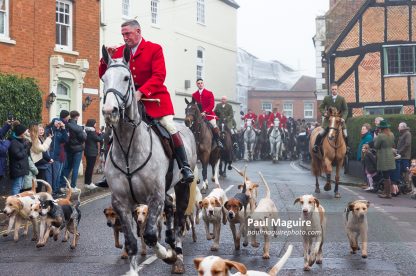 Fox hunting. Horses and hounds on traditional hunt, UK