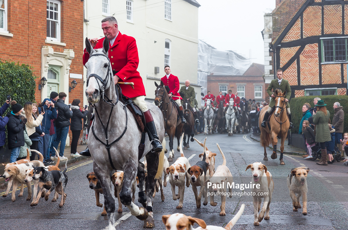 Fox hunting. Horses and hounds on traditional hunt, UK